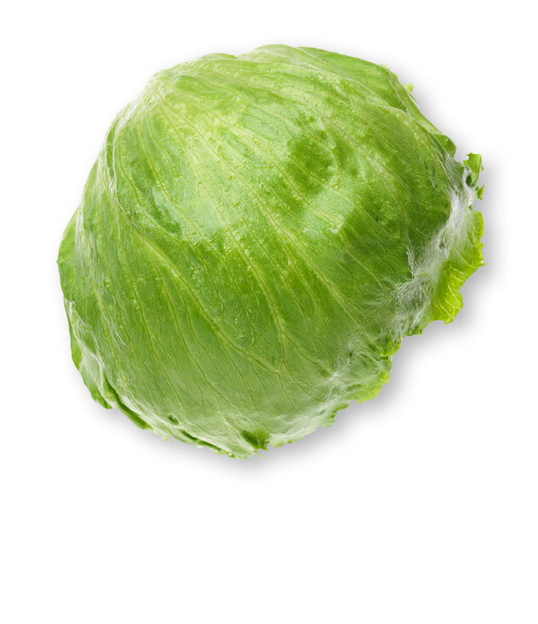 Iceberg lettuce