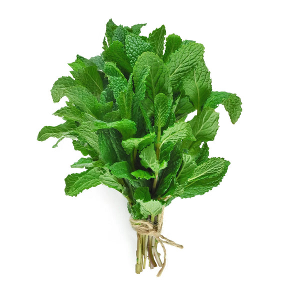 Mint