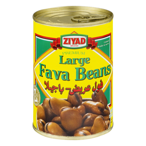Ziyad Large Fava Beans 15 oz